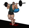 Calf Raise - Fitness Ball Single Barbell Wall